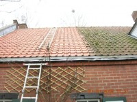 /album/photos-rooftops/roor-tiles-1-jpg1/